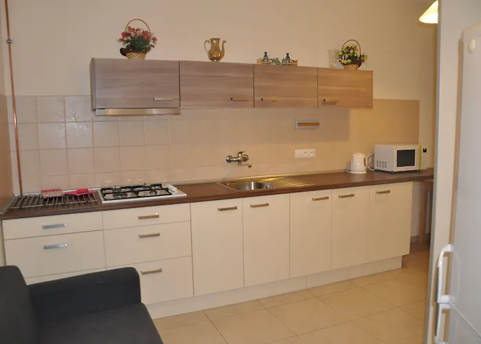 No. 40 Stara Louka 20 דירה קרלובי וארי